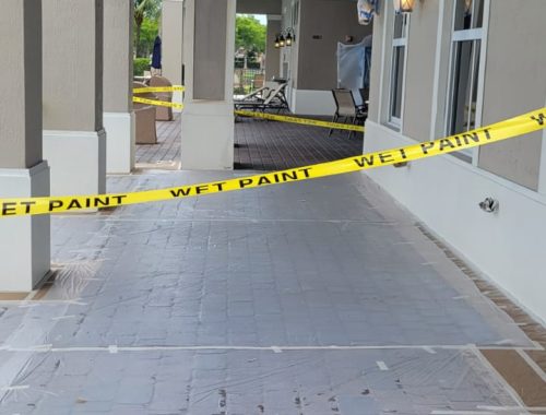 WhatsApp Image 2025-02-13 at 1.00.43 PM (3)