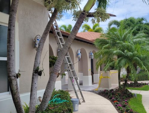 WhatsApp Image 2025-02-13 at 1.00.43 PM (6)