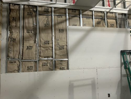 WhatsApp Image 2025-02-13 at 11.51.39 AM