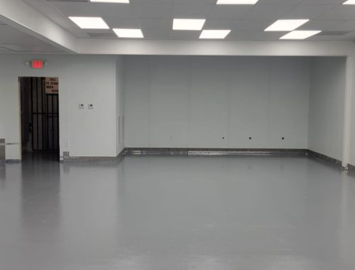 WhatsApp Image 2025-02-13 at 11.52.57 AM