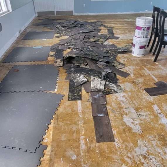 WhatsApp Image 2025-02-13 at 12.52.16 PM (3)