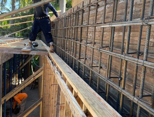 WhatsApp Image 2025-03-19 at 5.12.51 PM (1)