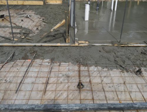 WhatsApp Image 2025-03-19 at 5.12.56 PM (3)